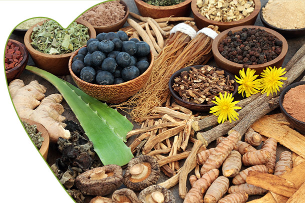Medicina ayurvedica